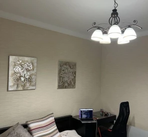 Photo 2. One-Room flat, to rent. Kyiv Дарницкий