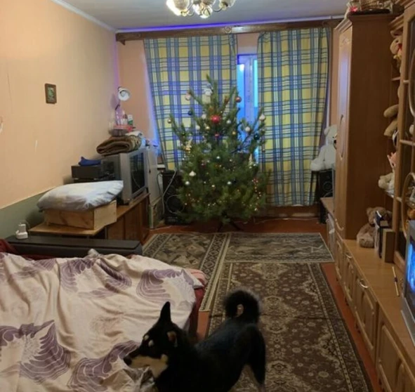 Fotografie 1. Trei Camere apartament, de vânzare. Poltava Шевченковский (Октябрьский)