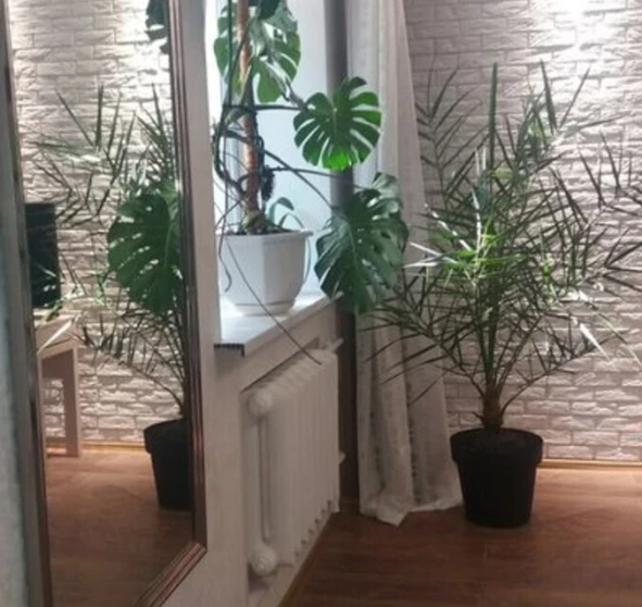 Fotografie 1. Două Camere apartament, de vânzare. Poltava Шевченковский (Октябрьский)