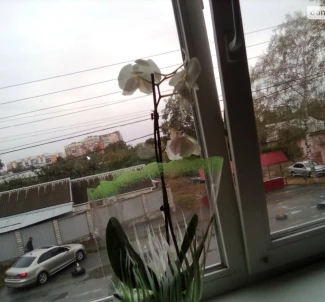 Zdjęcie 3. Kawalerka mieszkanie, na sprzedaż. Poltava Шевченковский (Октябрьский)