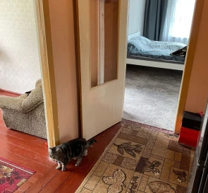 Фото 3. Трикімнатна квартира, продаж. Полтава Шевченковский (Октябрьский)