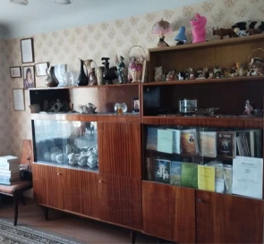 Zdjęcie 5. Kawalerka mieszkanie, na sprzedaż. Poltava Шевченковский (Октябрьский)