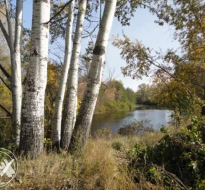 Zdjęcie 4. Dom, na sprzedaż. Semyanivka