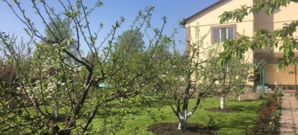 Photo 3. House, for sale. Poltava