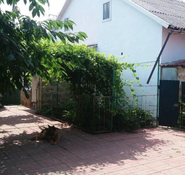 Фото 1. Будинок, продаж. Велика Рудка