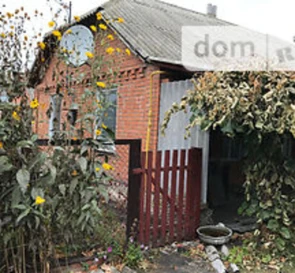 Photo 2. House, for sale. Vasylivka