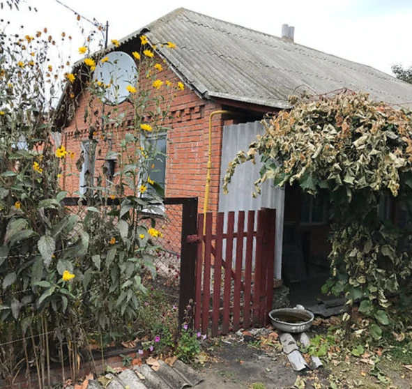 Photo 1. House, for sale. Vasylivka