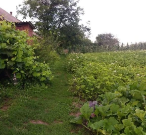 Photo 5. House, for sale. Zavodske