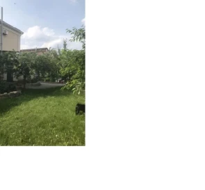 Фото 4. Дом, продажа. Полтава Киевский