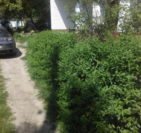 Photo 2. House, for sale. Poltava Подольский