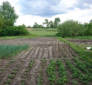 Photo 4. House, for sale. Zaturyne
