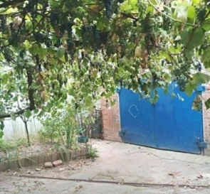 Фото 4. Дом, продажа. Полтава Киевский