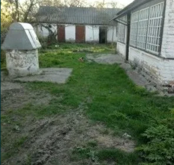Photo 1. House, for sale. Sudiivka