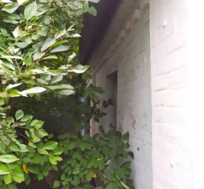 Photo 5. House, for sale. Poltava Шевченковский (Октябрьский)
