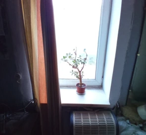 Photo 5. House, for sale. Poltava Шевченковский (Октябрьский)