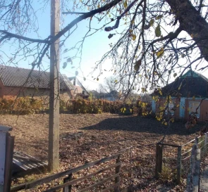 Фото 4. Будинок, продаж. Гожули