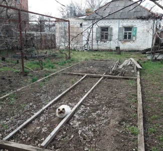 Фото 3. Дом, продажа. Полтава Киевский