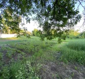 Фото 4. Будинок, продаж. Полтава Киевский