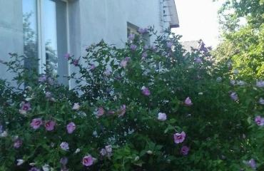Foto Casa, en venta. Myltsi