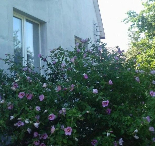 Foto 1. Casa, en venta. Myltsi