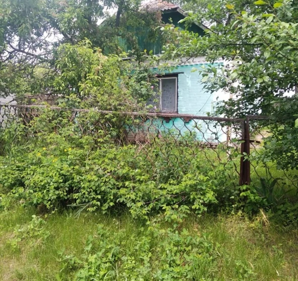 Foto 1. Casa, en venta. Poltava