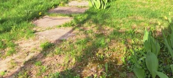 Фото 2. Дом, продажа. Полтава