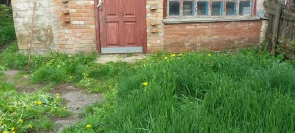 Zdjęcie 2. Dom, na sprzedaż. Poltava