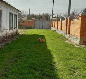 Photo 2. House, for sale. Poltava Шевченковский (Октябрьский)