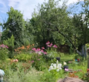 Zdjęcie 4. Dom, na sprzedaż. Poltava