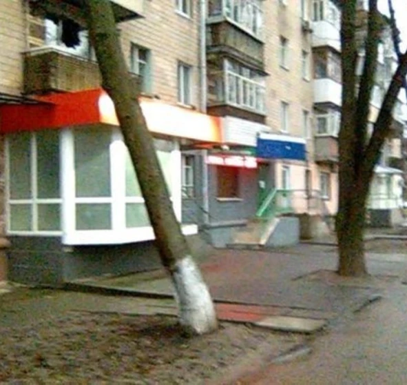 Fotografie 2. Comercială, de închiriat. Poltava Шевченковский (Октябрьский)