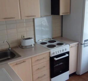 Photo 3. One-Room flat, to rent. Kyiv Дарницкий