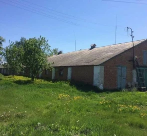 Zdjęcie 4. Komercyjna, na sprzedaż. Hadiach