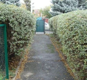 Фото 4. Комерційна, продаж. Полтава Шевченковский (Октябрьский)