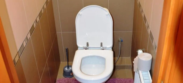 Photo 2. Four-Room flat, to rent. Zhytomyr Виставка