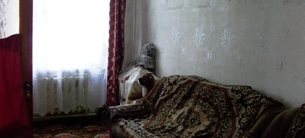Photo 1. Four-Room flat, to rent. Zhytomyr Центр