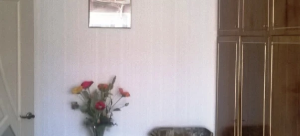 Photo 2. One-Room flat, to rent. Zhytomyr Центр