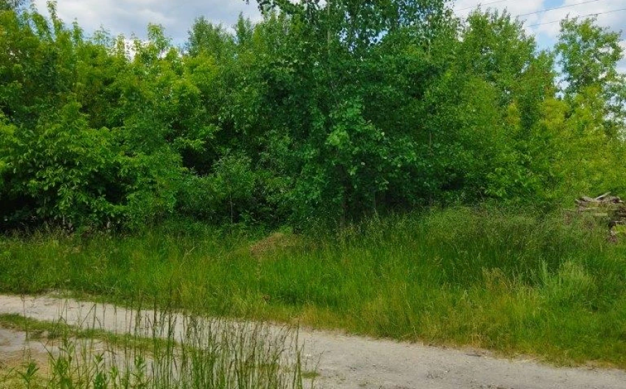 Фото 1. Ділянка, продаж. Житомир Передмістя