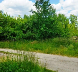 Фото 2. Участок, продажа. Житомир Марянівка