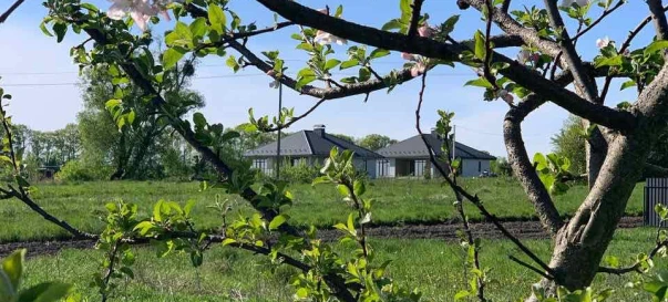 Photo 4. Lot, for sale. Zhytomyr Передмістя