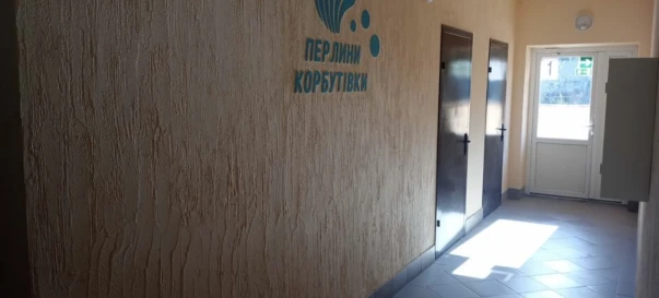 Photo 1. One-Room flat, for sale. Zhytomyr Корбутівка