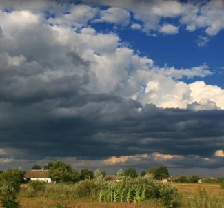 Zdjęcie 3. Działka, na sprzedaż. Zhytomyr Передмістя