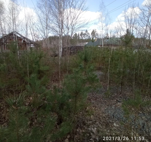 Photo 2. Lot, for sale. Zhytomyr Передмістя