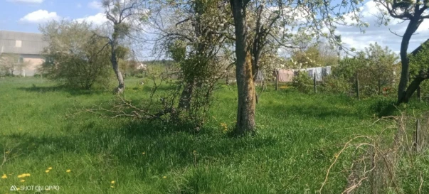 Photo 1. House, for sale. Zhytomyr Передмістя