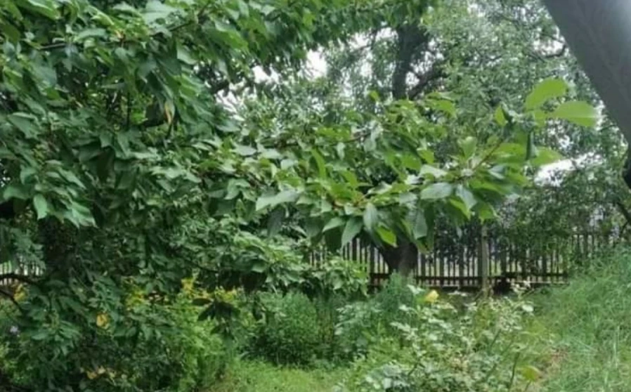 Zdjęcie 1. Działka, na sprzedaż. Zhytomyr Мальованка