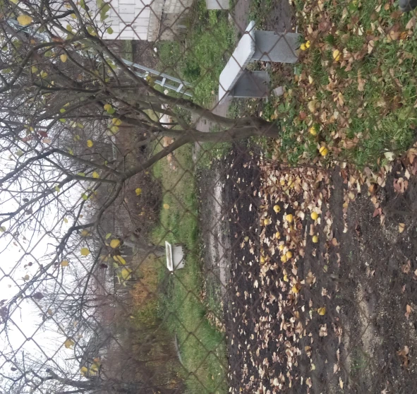 Photo 2. House, for sale. Zhytomyr Соколовка