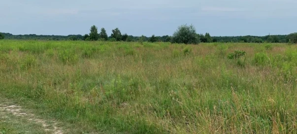 Фото 2. Ділянка, продаж. Житомир Передмістя
