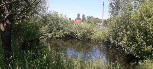 Фото 3. Будинок, продаж. Житомир Передмістя
