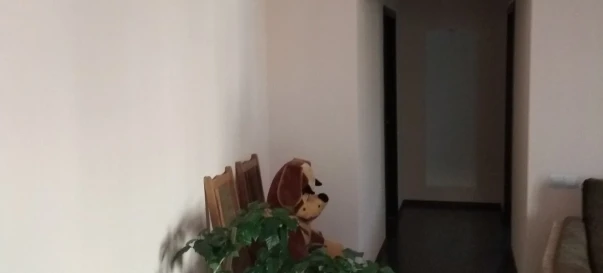 Фото 3. Дом, продажа. Житомир Центр