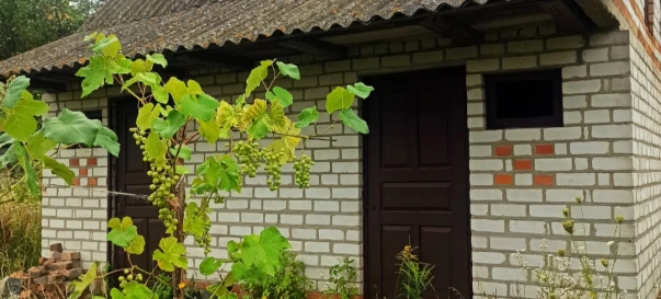 Photo 3. House, for sale. Zhytomyr Передмістя