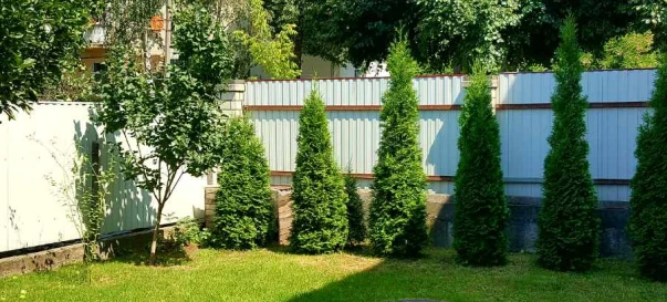 Photo 1. Three-Room flat, for sale. Zhytomyr Центр